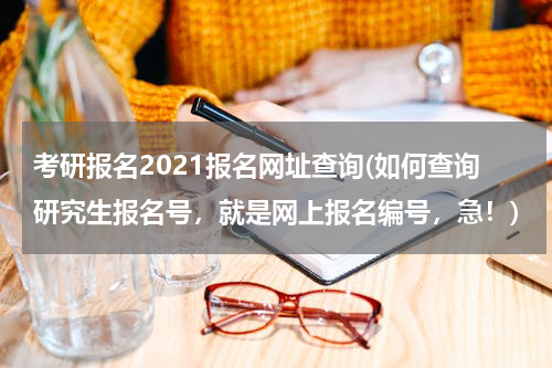 考研报名2021报名网址查询(如何查询研究生报名号，就是网上报名编号，急！)