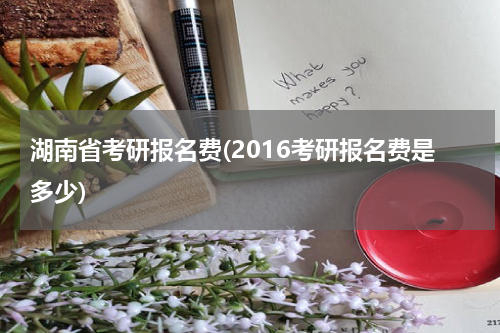 湖南省考研报名费(2016考研报名费是多少)