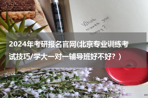 2024年考研报名官网(北京专业训练考试技巧/学大一对一辅导班好不好？)